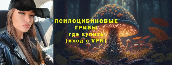 сатива Алзамай